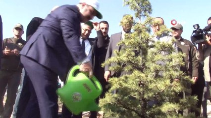 Bakan Varank: “Gezi Parkında birkaç ağaç için sokağa çıkanların artan orman varlıkları ile ilgili tek bir sözünü duyamazsınız'