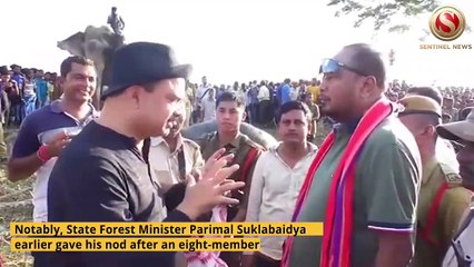 Wild Jumbo in Goalpara which claimed 5 Human Lives, Tranquilized