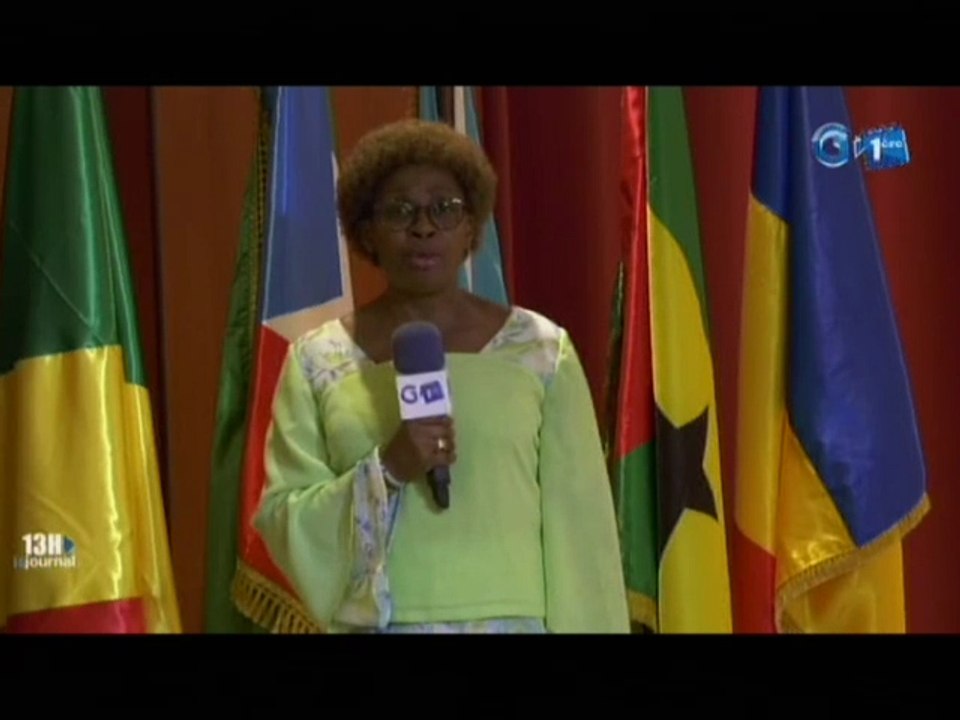 RTG/Les enjeux de la session ordinaire du comité des chefs de police de l’Afrique centrale  avec les envoyés spéciaux