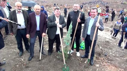 İzmir-kınık'ta 80 bin fidan toprakla buluşturuldu