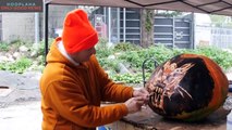 Rhode Island Zoo Glows with 1000's of Jack-O-Lanterns