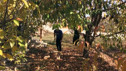 Avrupayı bırakıp köye yerleşti - NİĞDE