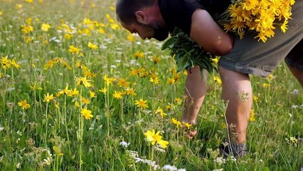 "En quête des nouveaux herboristes" Un film de Daniel Schlosser - Bande-annonce