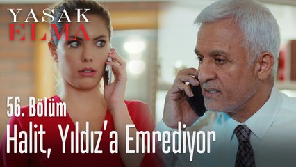 Halit, Yıldız'ı yanında istiyor - Yasak Elma 56. Bölüm