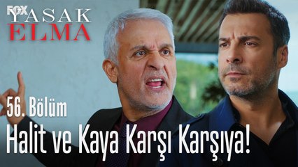 Halit ve Kaya'nın arası açıldı - Yasak Elma 56. Bölüm