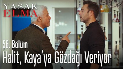 Halit, Kaya'nın evini basıyor - Yasak Elma 56. Bölüm