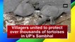 Villagers united to protect over thousands of tortoises in UP’s Sambhal