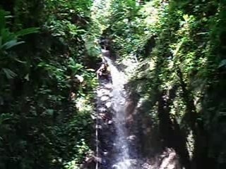 Canyon Martinique "Fond Lottière"