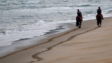 France government closed beaches due to find drugs in shore | Oneindia Malayalam