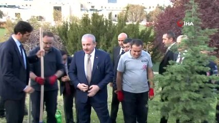 TBMM Başkanı Şentop, fidan dikimine katıldı