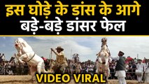 Pushkar पशु मेले में  disco dance करने वाली Horse का  video Viral| वनइंड़िया हिंदी