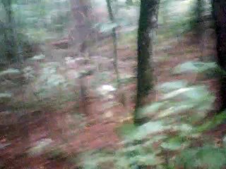 Dwojaki Koniec instrumental no melody