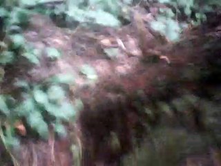 Dwojaki Koniec melody