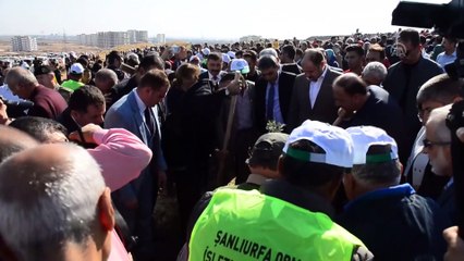 Milli Ağaçlandırma Günü - ŞANLIURFA