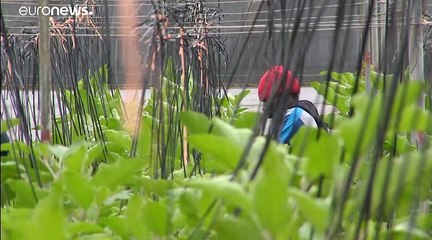 С чем связан успех ультраправых в Испании?