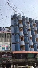 Tedde Insects reached at Aisha Manzil, Karachi