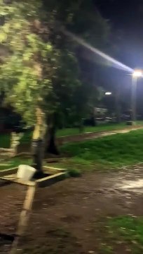 Raggi - Il parco davanti la libreria Pecora elettrica nel quartiere Centocelle (11.11.19)