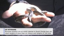 War veterans hunt pythons to combat post-traumatic stress