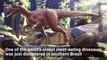 New Type of the World's Oldest Meat-Eating Dinosaur Discovered