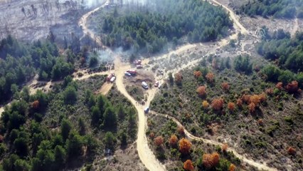 Tavşanlı'da orman yangınında 3 hektar alan zarar gördü - KÜTAHYA