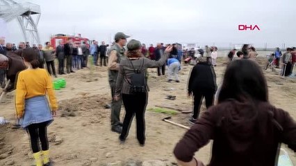 Edirne'de trafik cezası yazılacağını sanan sürücüyü fidan