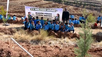 "11 Milyon Ağaç; Bugün Fidan, Yarın Nefes" programı - KIRŞEHİR/MUĞLA/