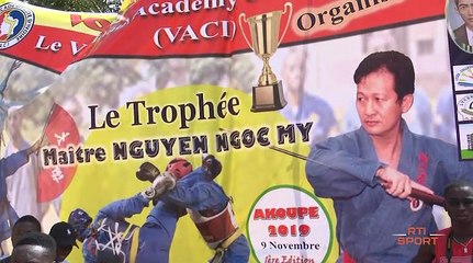 Arts Martiaux |  Résumé du championnat Vovinam Viet Vo Dao à Akoupe