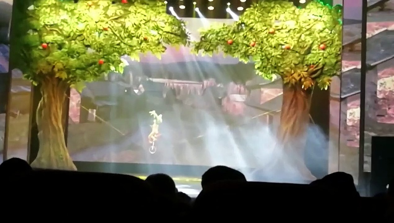 Spectacle d'acrobaties Pékin