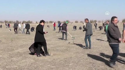 TİGEM'in 17 işletmesinden 50 bin fidan desteği