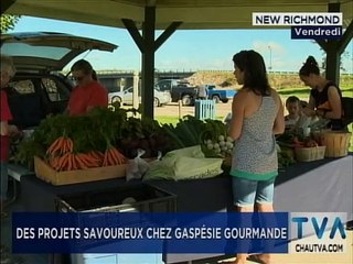 TVA Nouvelles 12h CHAU 11 Novembre 2019