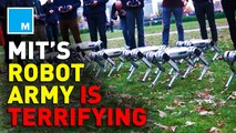 MIT releases eerie video of their robot army training