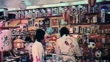 Imigrantes de São Paulo na Atualidade - Entrevistas (FECAP - Relações Internacionais 4° Semestre - Direito Internacional Privado, Prof. Cícero Krupp da Luz)