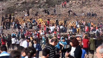 '11 Milyon Ağaç; Bugün Fidan, Yarın Nefes' programı - MUĞLA