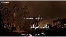 ....كان هناك غزاله