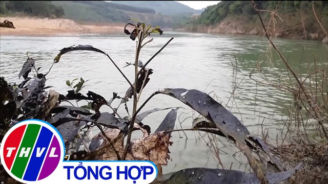 Hơn 200 lít dầu FO bị phát tán ra đầu nguồn sông Hiếu tại Quảng Trị