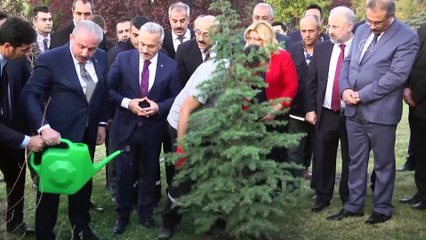 Şentop'tan '11 Milyon Ağaç; Bugün Fidan, Yarın Nefes' kampanyasına destek - TBMM