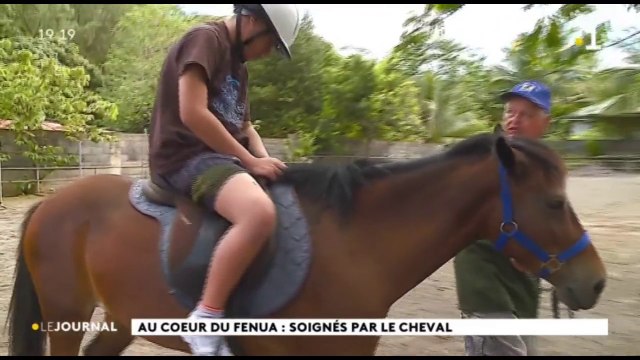 Au cœur du fenua : les malades murmurent aux oreilles des chevaux