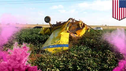 Gender reveal party causes plane crash
