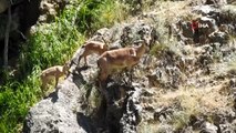 Erzincan'da avlaklar kontrol edilerek, avcılara yönelik bilgilendirme yapıldı