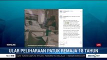 Remaja di Depok Tewas Digigit Ular Peliharaannya