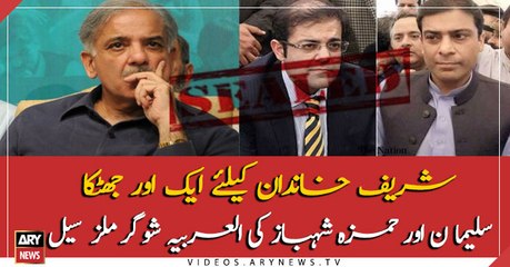 Suleiman and Hamza Shahbaz's Al Arabia Sugar Mills Sealed by government authorities