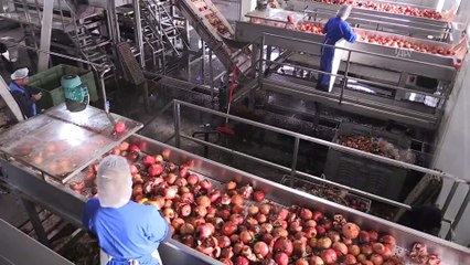 Erzincan'dan dünyanın dört bir yanına meyve suyu ihracatı