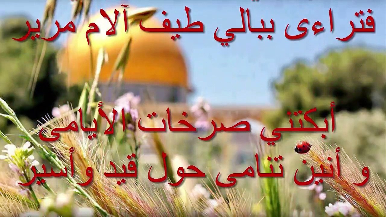 أنشودة هزتني _ للمنشد محمد مطري   رائعة