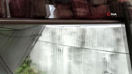 - Hong Kong'da Tansiyon Yüksek