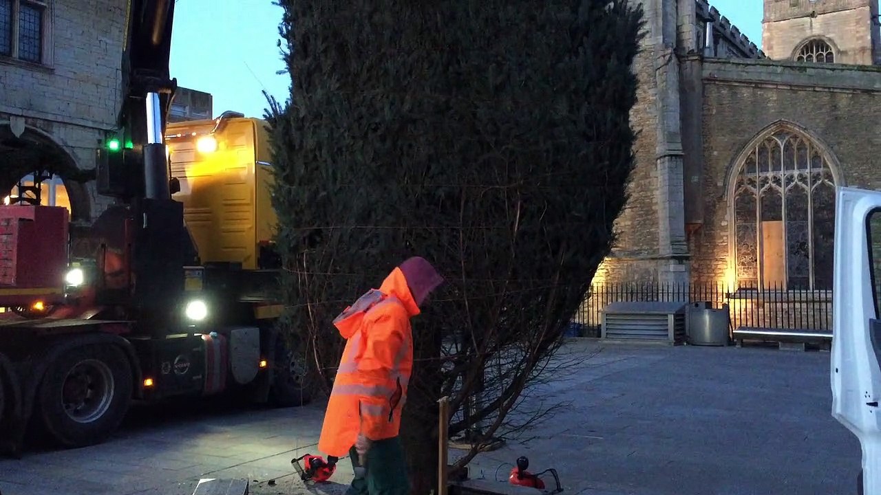 Peterborough's Christmas Tree arrives in Cathedral Square