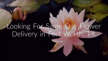 Same Day Flower Delivery in Fort Worth, TX