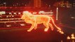 Vídeo Viral: Este gigantesco 'león de fuego' irrumpe en un estadio de fútbol en Argentina