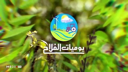 يوميات الفلاح - 12/11/2019