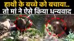 Baby Elephant का गड्डे से किया Rescue, तो मां के धन्यवाद का Video हुआ Viral | वनइंडिया हिंदी