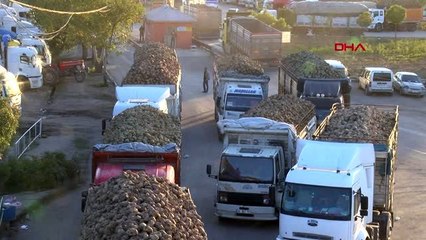 Malatya şeker fabrikası'nda 25 yılın rekoru kırıldı